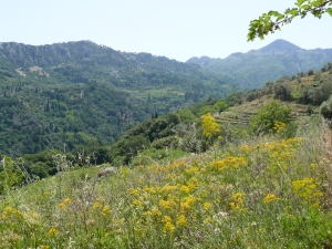View of Karvounis mountain. View of Karvounis mountain