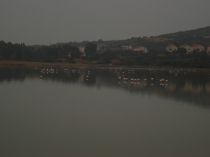 The salt marsh of Mykali on the south east side of Samos. The salt marsh of Mykali on the south east side of Samos