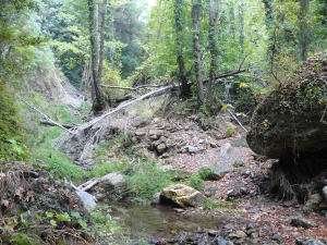 Nature of Samos. Nature of Samos